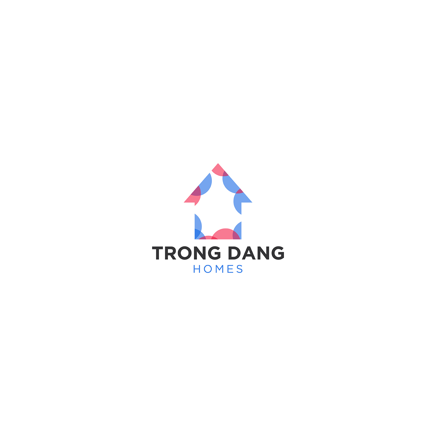 Serious, Modern, Real Estate Agent Logo Design for Trong Dang Home Team