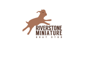 Design de Logo par ivo_i_ivanov pour ce projet | Design : #15913459
