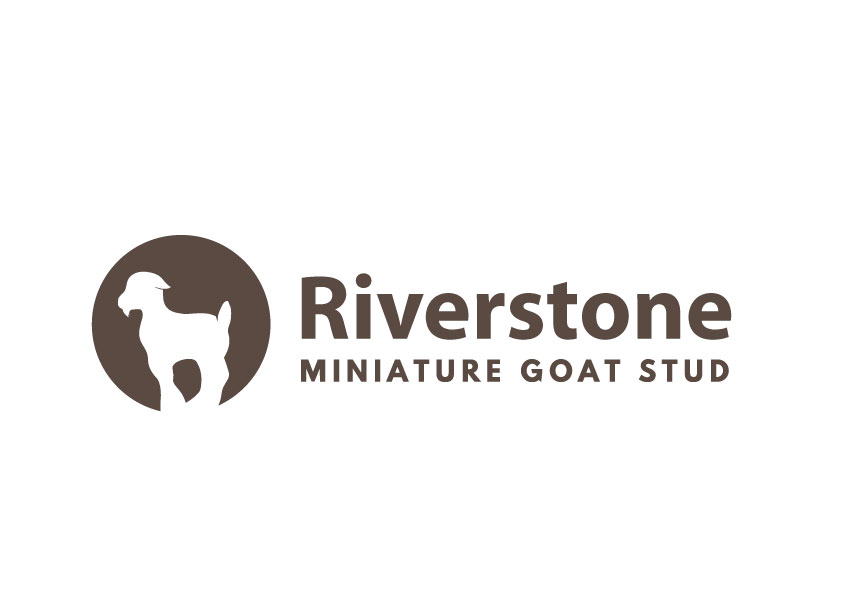 Logo Design by bc21 for this project | Design #15978223