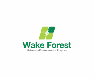 Logo Design by DANYCAT