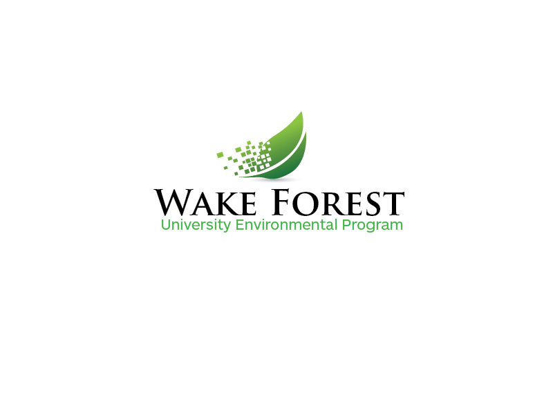 Diseño de Logo por carabuenaeffect para este proyecto | Diseño #15917953