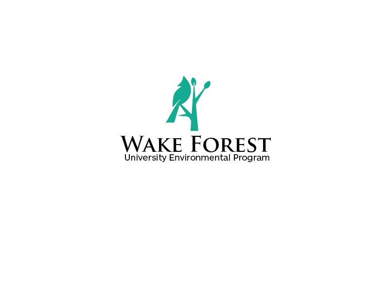 Diseño de Logo por carabuenaeffect para este proyecto | Diseño #15917954