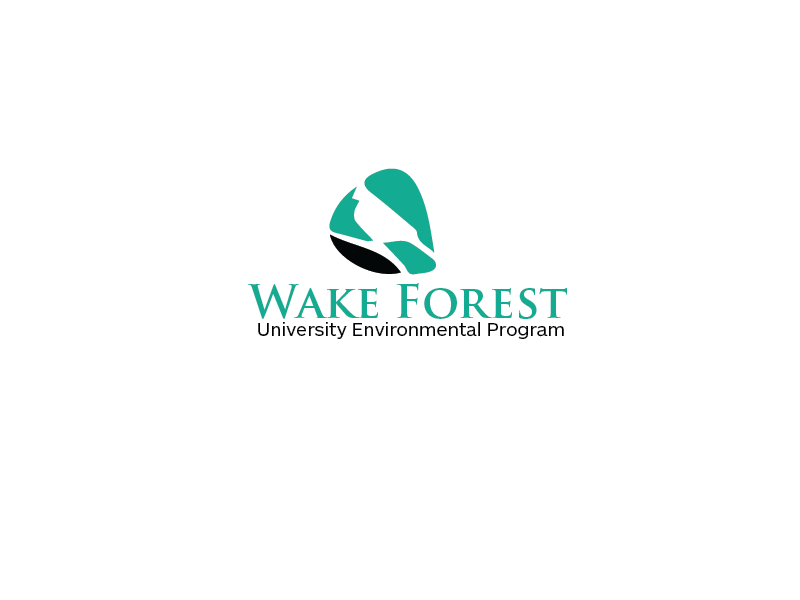 Diseño de Logo por carabuenaeffect para este proyecto | Diseño #15917955