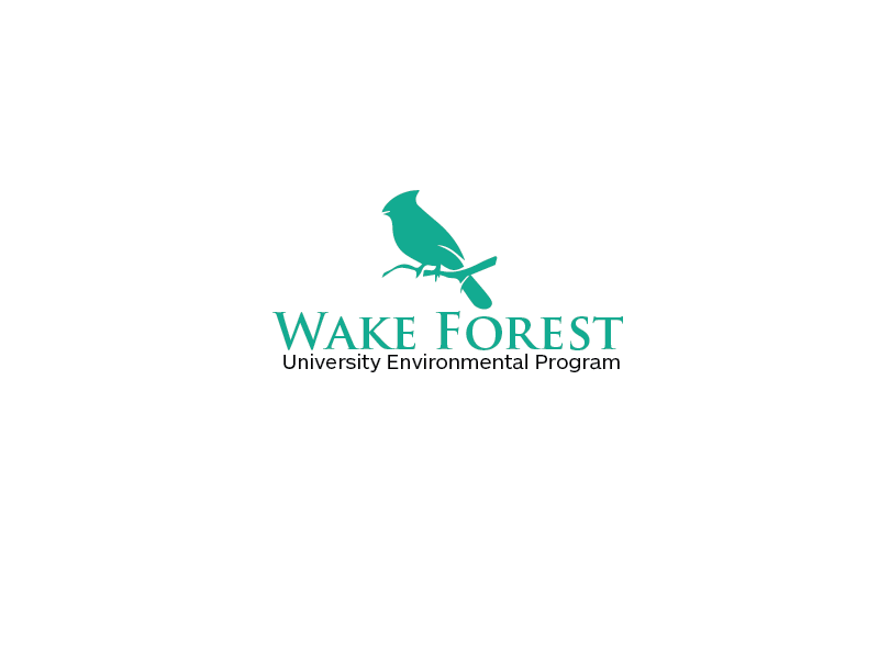 Diseño de Logo por carabuenaeffect para este proyecto | Diseño #15917956