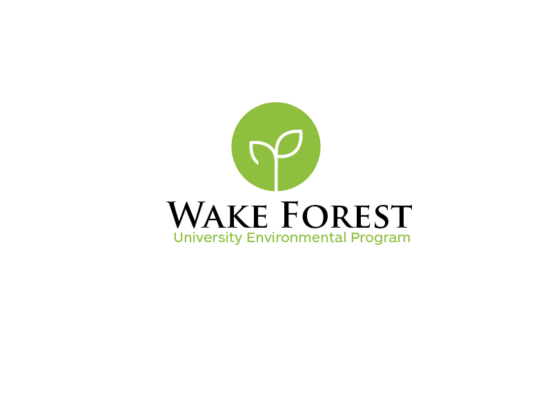 Diseño de Logo por carabuenaeffect para este proyecto | Diseño #15917962