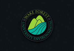 Diseño de Logo por imshohaghossain85 para este proyecto | Diseño: #15917139