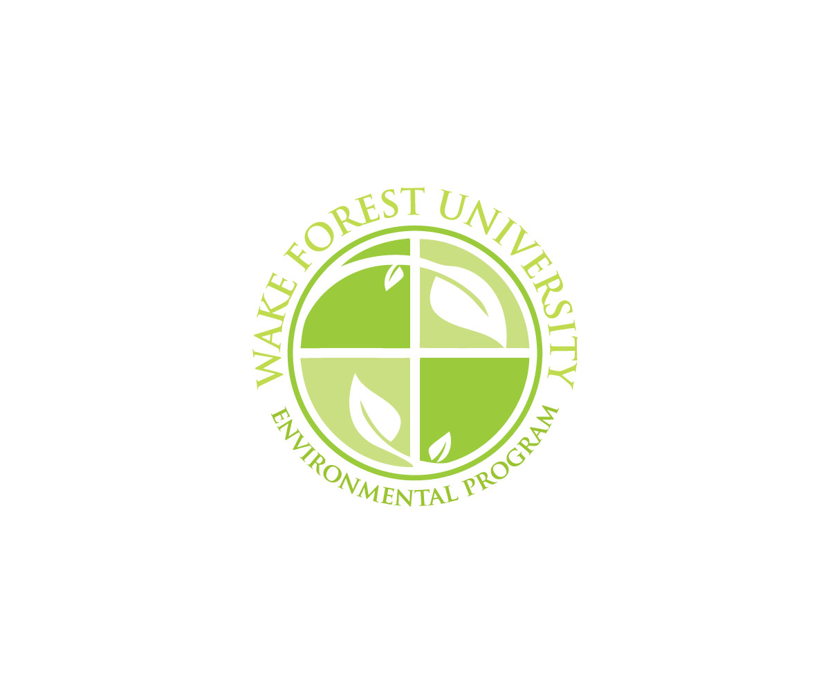 Diseño de Logo por Creative Afnur para este proyecto | Diseño #15967686