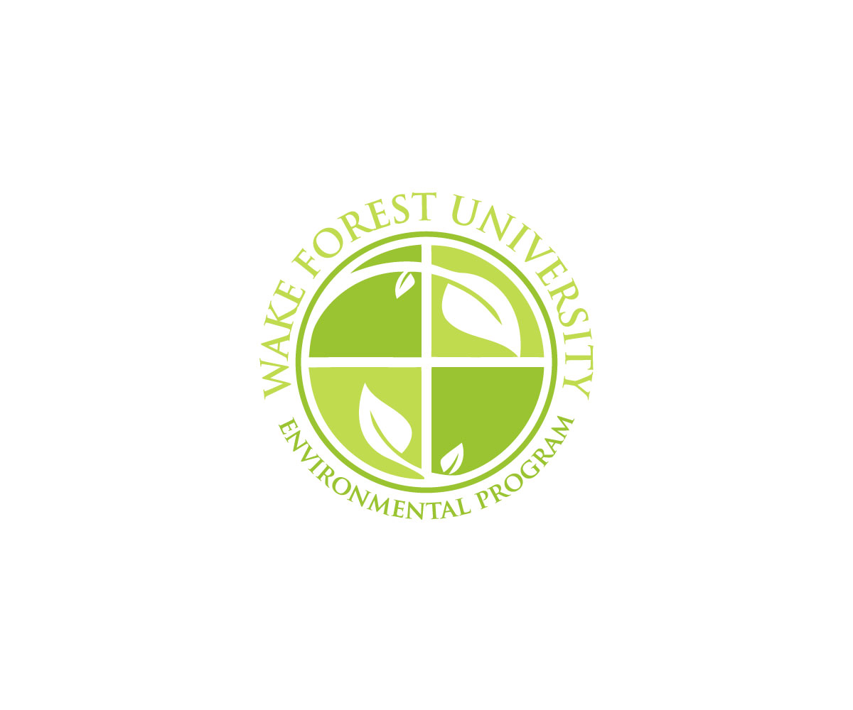 Diseño de Logo por Creative Afnur para este proyecto | Diseño #15967687