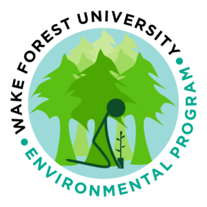 Logo Design by B2