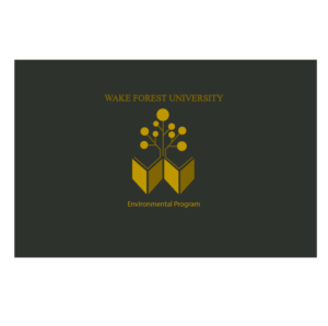 Diseño de Logo por arun jhumghar para este proyecto | Diseño: #15935963