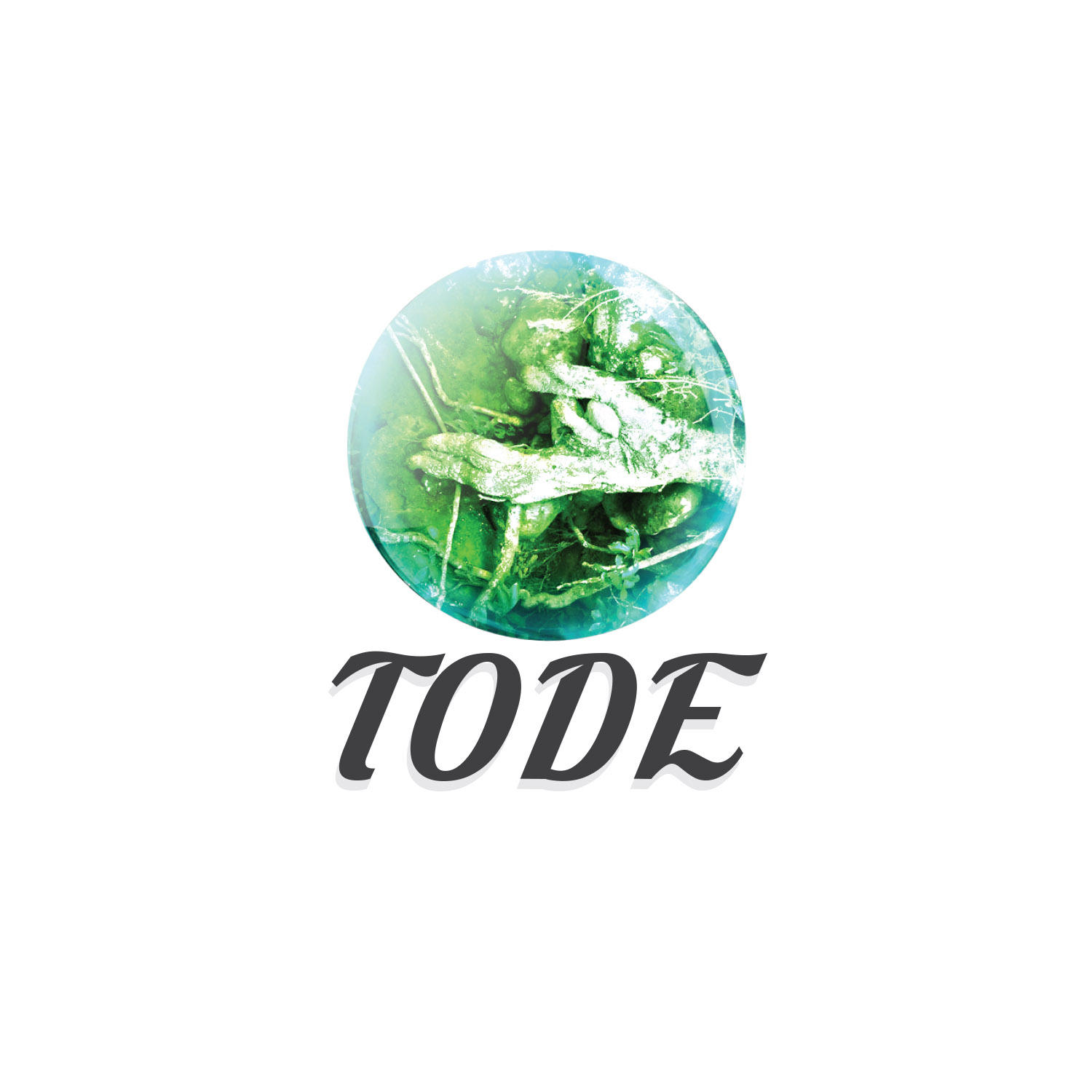 Logo Design by Creative Shots Studio for Tode | Design #16234653