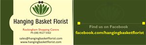 Business Card Design by Busayomi for Hanging Basket Florist Pty Ltd | Design: #2623481