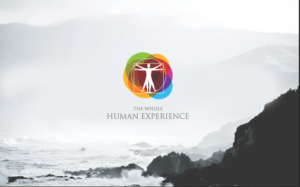 Logo Design by Alex Petersen