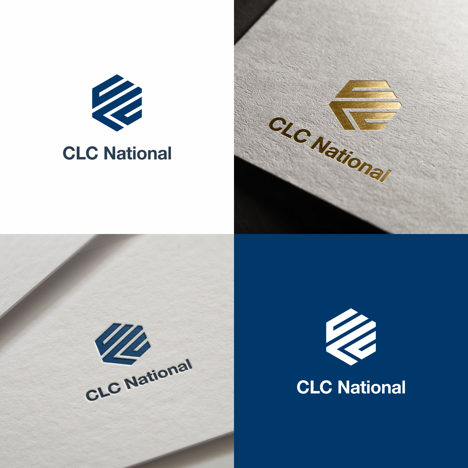 Logo Design by Optimistic_Studio for this project | Design #15999256