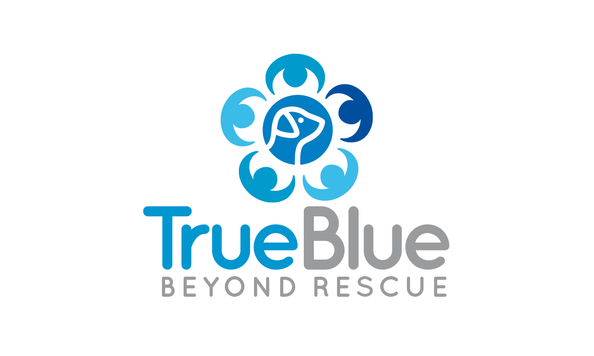 Design de Logo par trufya pour ce projet | Design #16121795