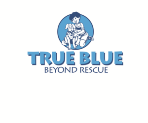 Logo Design by Hot Rod