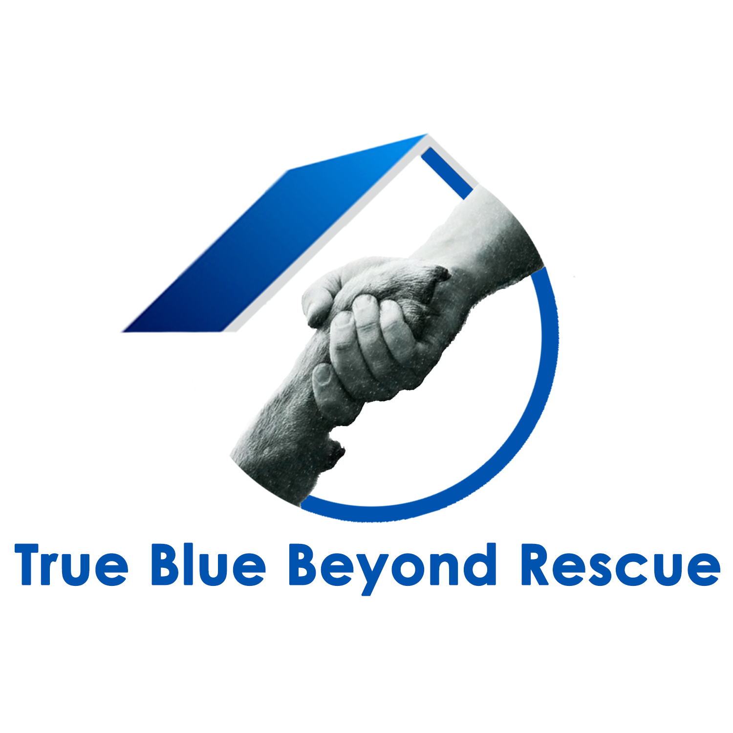 Logo Design by E.Dorranipour for this project | Design #16062322