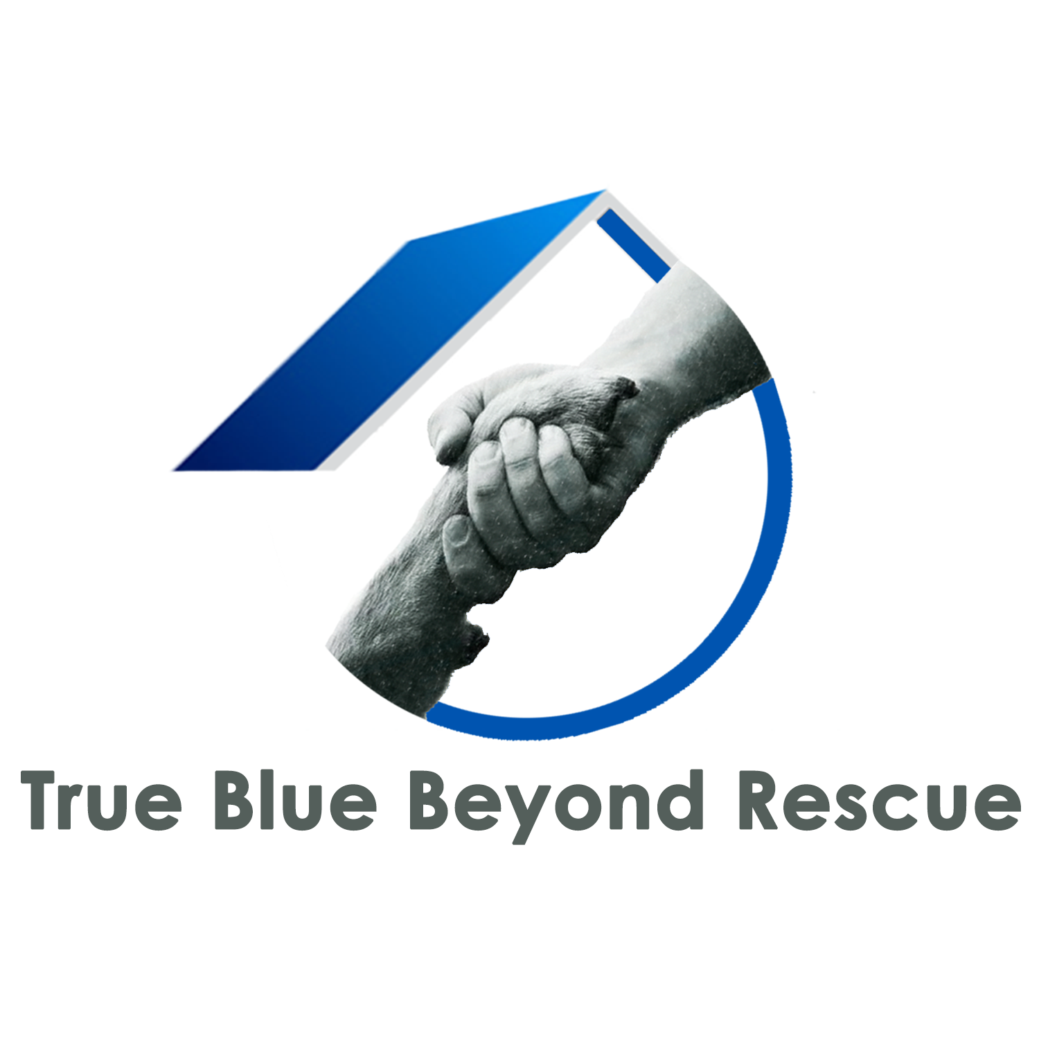 Diseño de Logo por E.Dorranipour para este proyecto | Diseño #16062374