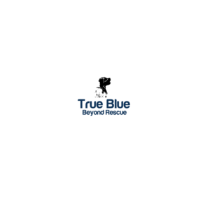 Logo Design by rslvdr for this project | Design #16120501