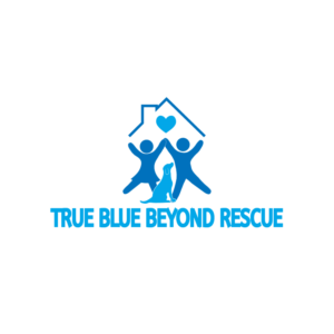 Logo Design by Archaeologo for this project | Design #15990795