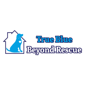 Logo Design by Archaeologo for this project | Design: #15990796