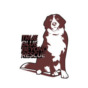 Logo Design by aredie19