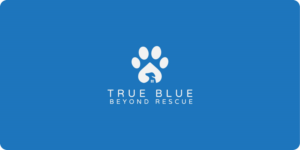 Logo Design by Mime Artworks for this project | Design: #16156765