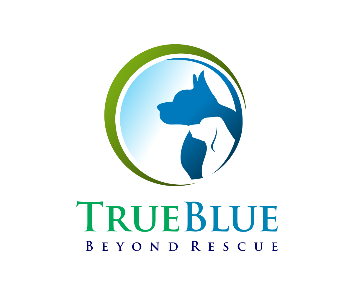 Diseño de Logo por AisRafa.com para este proyecto | Diseño #16122166