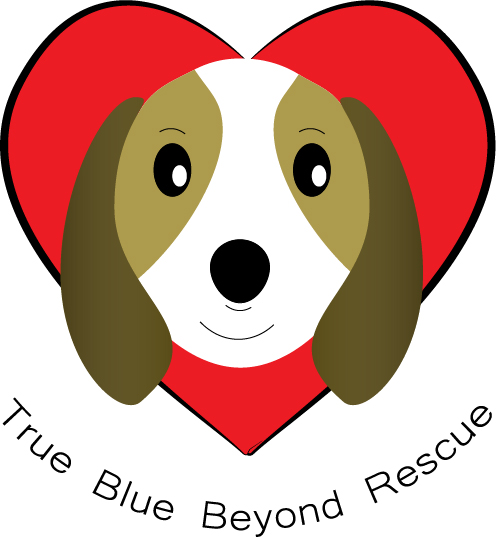 Diseño de Logo por Thanos Tok para este proyecto | Diseño #16121333