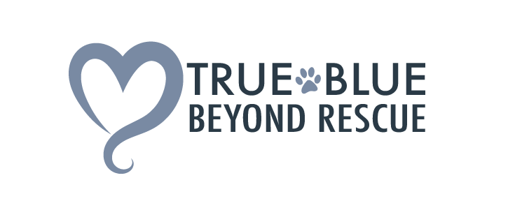 Logo Design by pettry1177 for this project | Design #16117831