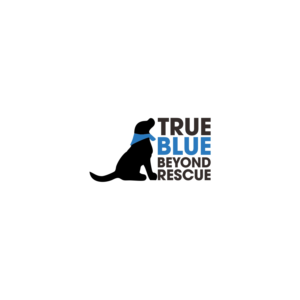 Logo Design by mizuian33
