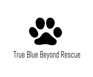 Logo Design by Shayan Mirza