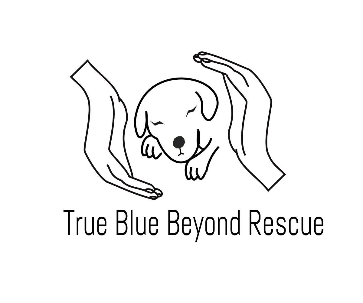 Logo-Design von Shayan Mirza für dieses Projekt | Design #16120664