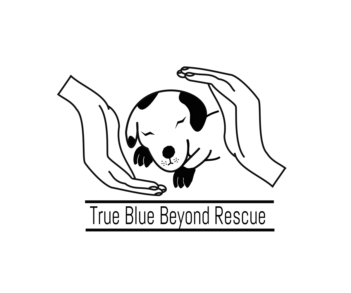 Logo-Design von Shayan Mirza für dieses Projekt | Design #16126008