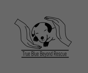 Logo-Design von Shayan Mirza für dieses Projekt | Design: #16126009