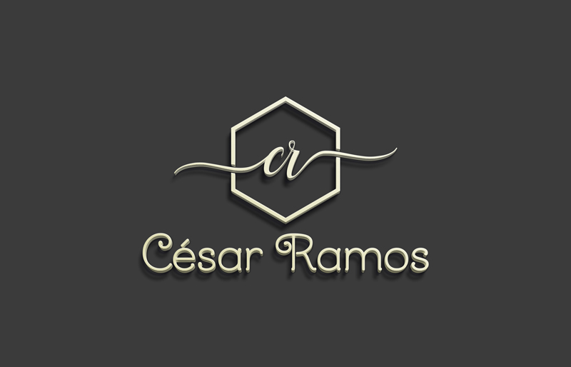 Logo Design by IconicEcho for this project | Design #15933462