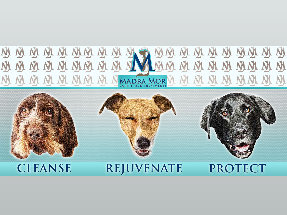 Advertisement Design by Kleb Design for this project | Design #2622630