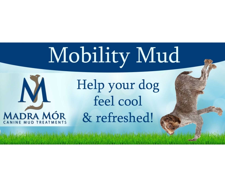 Advertisement Design by JHG for this project | Design #2620630