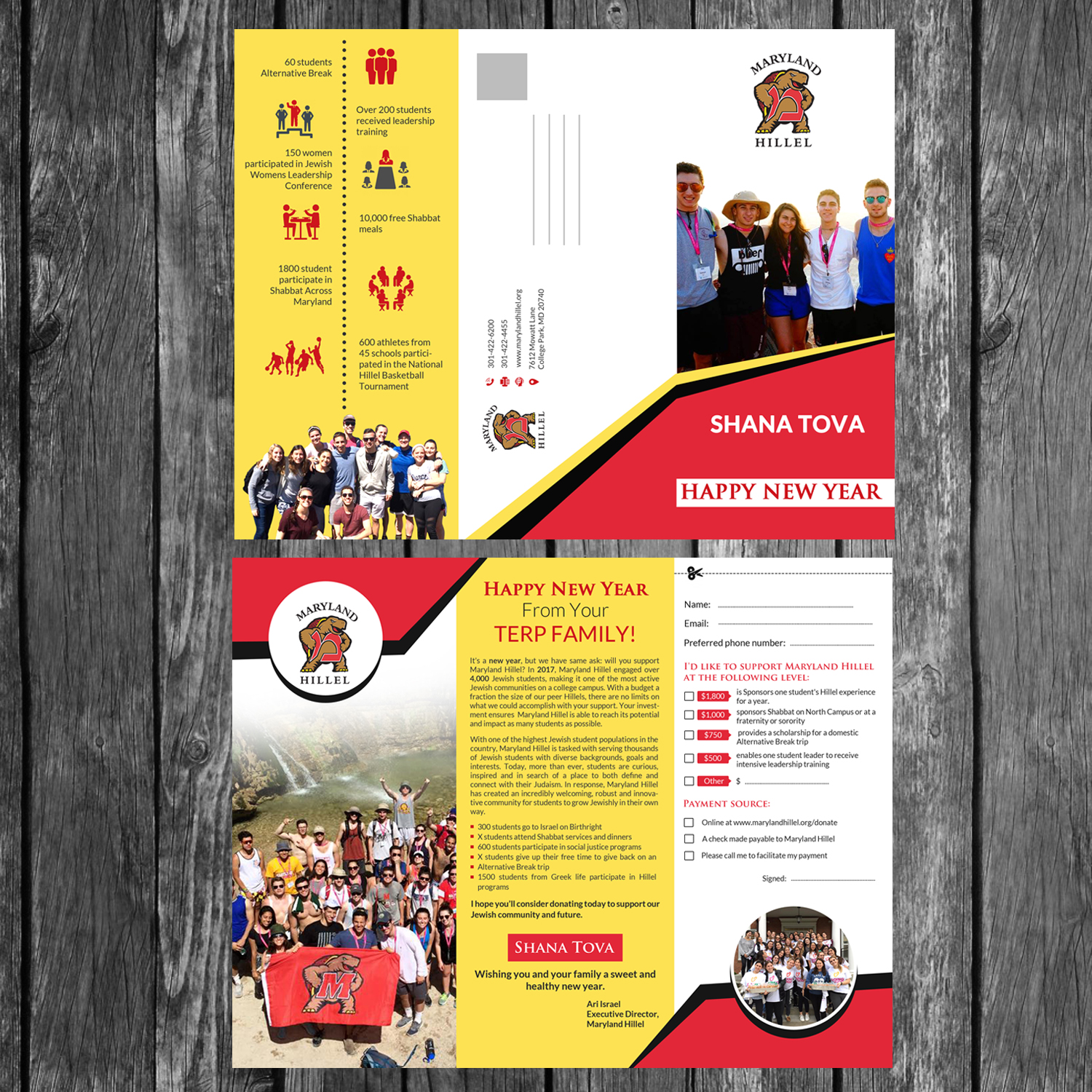 Flyer Design by creative.bugs for this project | Design #16013933