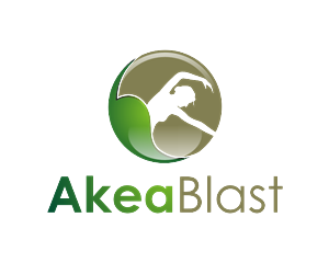 Logo Design by Pijar