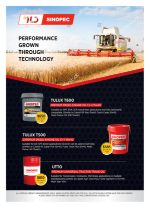 Flyer Design by D Creative