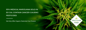 Banner Ad Design by Lauren for this project | Design #15976475