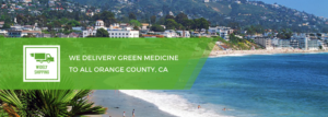 Banner Ad Design by Lauren for this project | Design: #15976639