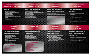 Sentinel Full Service brochure | Brochure Design by Pinky 