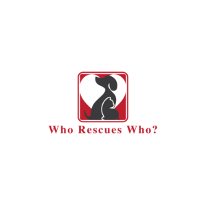 Logo Design by LogoToGoStudio for Systems Online Limited | Design: #15974730
