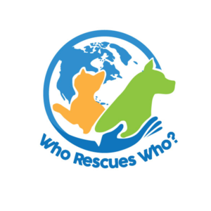 Diseño de Logo por agung.rizky03 para Systems Online Limited | Diseño: #16002320