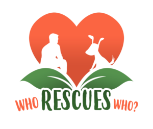 Logo Design by UniikDesigns