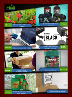 Flyer Design by Ali Sayed for this project | Design: #15958004