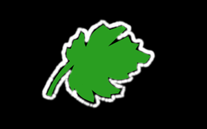 Logo Design by Kaganuzun
