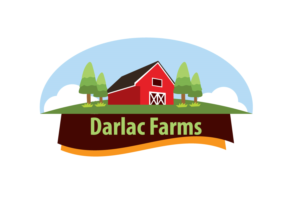 Logo Design by anika6
